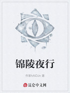 锦陵夜行在线阅读