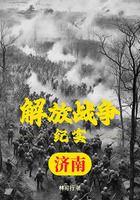 解放戰(zhàn)爭(zhēng)紀(jì)實(shí)：解放濟(jì)南在線閱讀