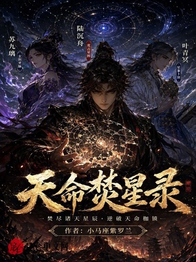 天命焚星录在线阅读