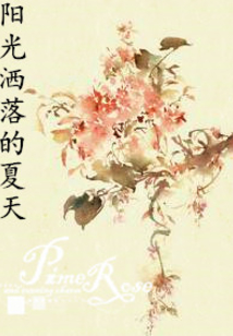 阳光洒落的夏天
