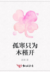 孤寒只為木槿開