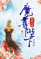 倾世无双,魔尊陛下求放过在线阅读