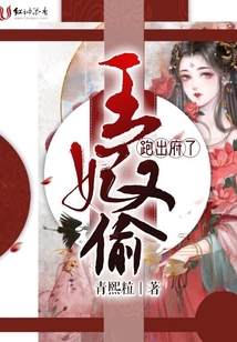 王妃又偷跑出府了