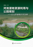 河流湿地资源利用与公园规划：以山东省临沂市为例在线阅读