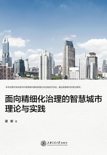 面向精细化治理的智慧城市理论与实践