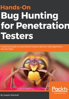 Hands-On Bug Hunting for Penetration Testers在线阅读