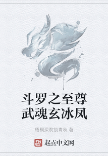 斗羅之至尊武魂玄冰鳳