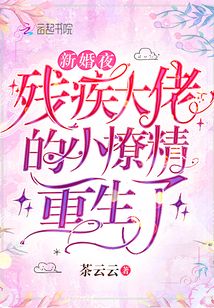 新婚夜,,殘疾大佬的小撩精重生了
