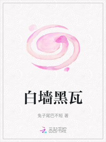 白墙黑瓦