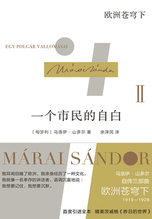 一个市民的自白Ⅱ:欧洲苍穹下