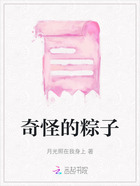 奇怪的粽子在線閱讀
