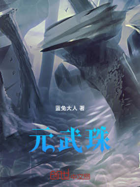 元武珠在线阅读