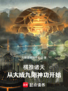 横推诸天:从大成九阳神功开始在线阅读