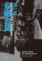 双眼台风在线阅读