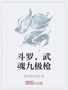 斗罗,武魂九极枪在线阅读