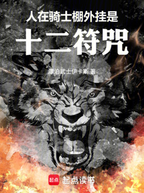 假面骑士，外挂是十二符咒在线阅读