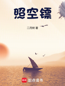 照空鏢