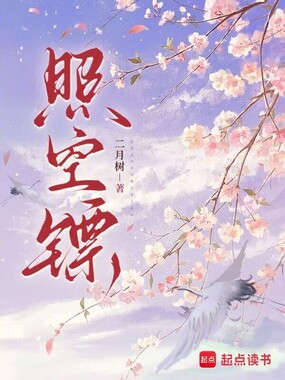 照空镖在线阅读