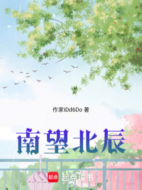 南望北辰在线阅读