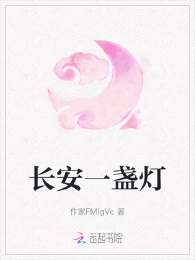 长安一盏灯在线阅读