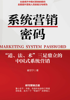 系統營銷密碼在線閱讀