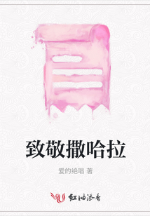致敬撒哈拉