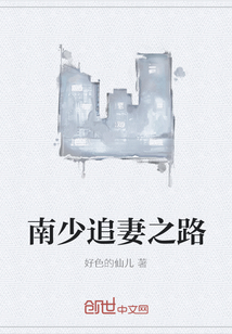 南少追妻之路