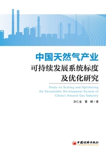 中国天然气产业可持续发展系统标度及优化研究