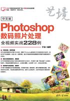 中文版Photoshop数码照片处理全视频实战228例