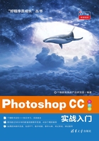 Photoshop CC 实战入门在线阅读