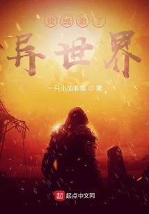 我統治了異世界