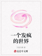 一个发疯的世界在线阅读