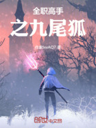 全职高手之九尾狐在线阅读