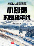 从四九城到雪原小知青的囤货年代在线阅读