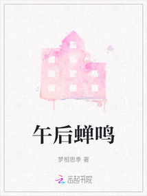 午后蟬鳴