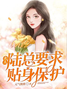 夫人，陆总要求贴身保护在线阅读