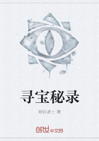 尋寶秘錄在線閱讀