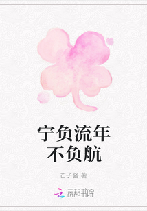 寧負流年不負航