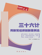 三十六计：两新党组织创新案例选（“拾年”丛书之四）在线阅读