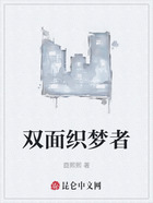 双面织梦者在线阅读