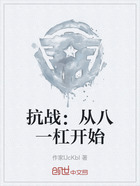 抗战:从八一杠开始在线阅读
