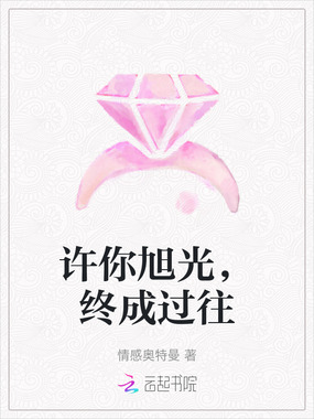 许你旭光，终成过往在线阅读
