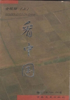 金眼睛：看中国在线阅读