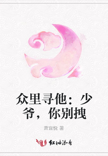 众里寻他：少爷，你别拽