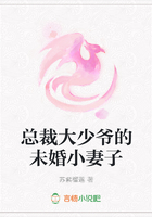 总裁大少爷的未婚小妻子