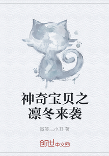 神奇宝贝之凛冬来袭