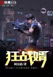 狂戰婿