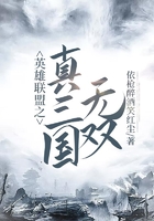 英雄聯盟之真三國無雙在線閱讀