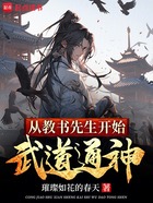 从教书先生开始武道通神