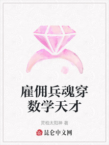 雇傭兵魂穿數學天才
